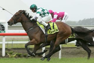 Lasarla (NZ) leads Karaka Trifecta in Auckland Thoroughbred Breeders’ Stakes. Photo: Trish Dunell.